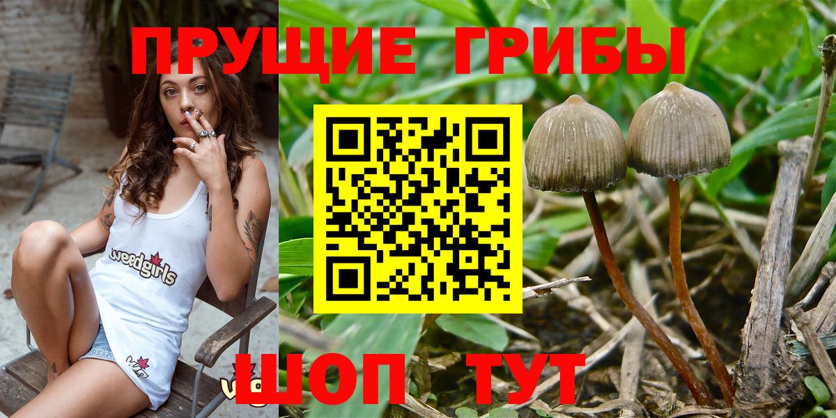 Россошь  Галлюциногенные грибы MAGIC MUSHROOMS  Вход с VPN 