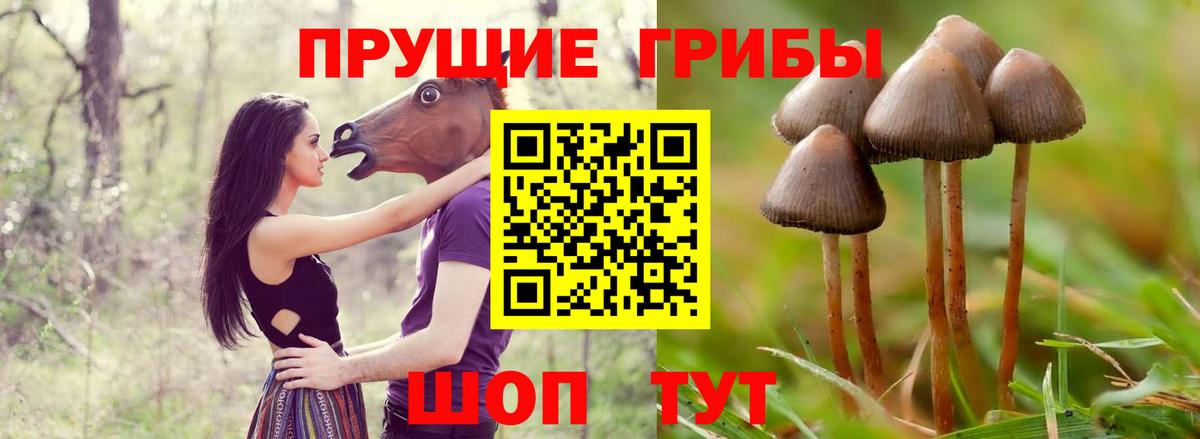Галлюциногенные грибы MAGIC MUSHROOMS Россошь