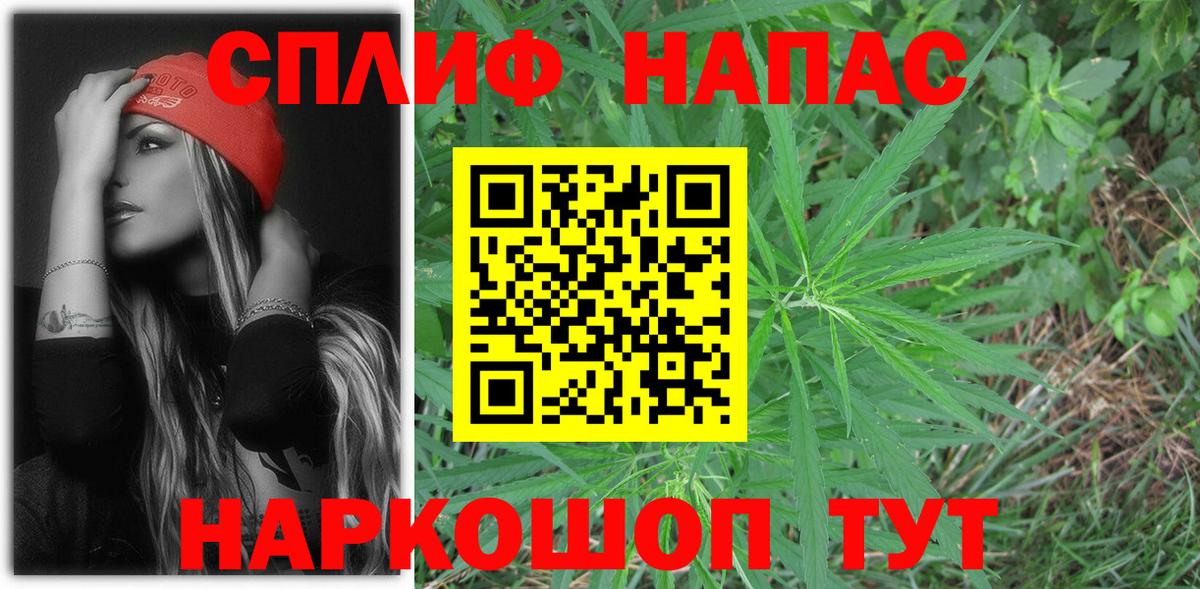 Каннабис MAZAR Россошь